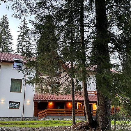 Sidharta Resort Obarsia-Lotrului Exterior foto