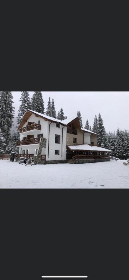 Sidharta Resort Obarsia-Lotrului Exterior foto